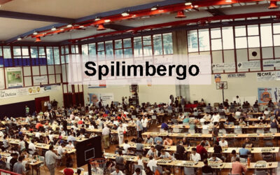 Le due Torri Spilimbergo